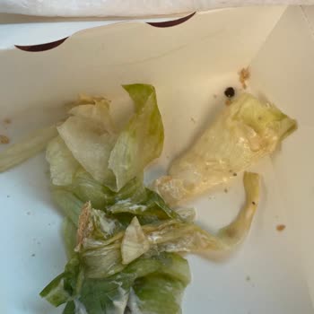 Burger King Bozuk Ürün, Hizmet Kalitesizliği