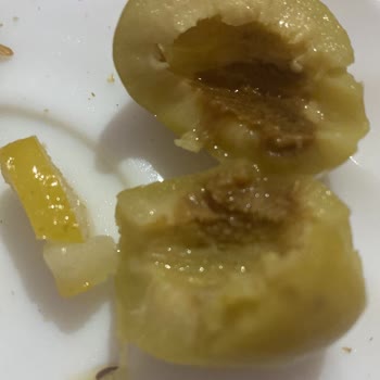 Kavlak Zeytin Bozuk Zeytin Satmaları