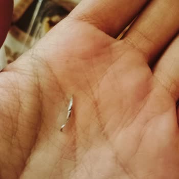 BİM Zincir Marketleri Kazandibi