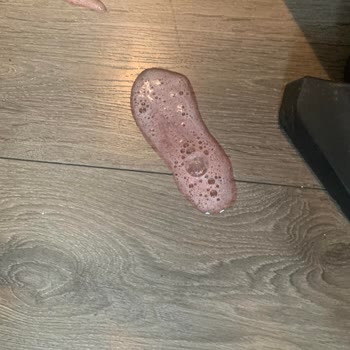 Trendyol SKT Geçmiş Mama Satışına Ön Ayak Oluyor