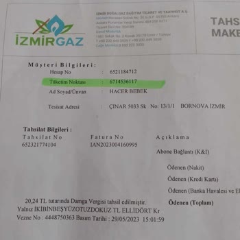 İzmir Gaz Bağlantısı Talebi