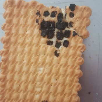 Torku Bisküvinin Üzerinde Siyah Tortular Var