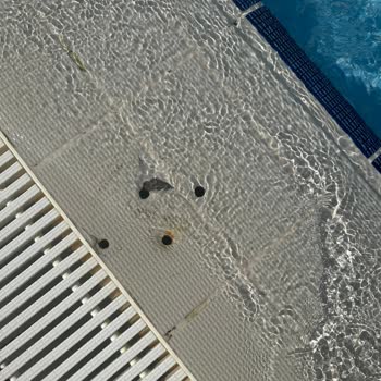 Etstur Titanic Deluxe Lara Zehirlenme, Yaralanma, Yemek İçerisi Protez Tırnak