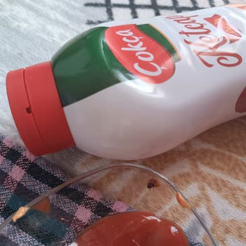 A101 Çokça Ketçaptan Böcek Çıktı