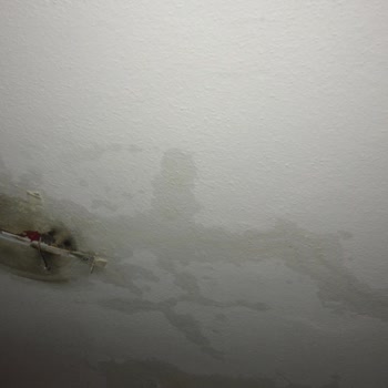 Bursa Nisanur Gayrimenkul Yatırım Danışmanlığı'nın Usulsüzlüğü