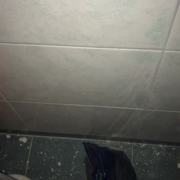 Bursa Nisanur Gayrimenkul Yatırım Danışmanlığı'nın Usulsüzlüğü