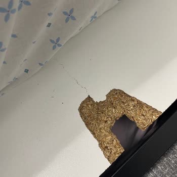 Modalife Yatak Bazası Sorunu