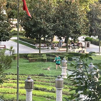 İBB - İstanbul Büyükşehir Belediyesi Parkta Köpeklerin Saldırısına Uğradım, Tehdit Edildim