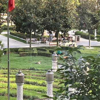İBB - İstanbul Büyükşehir Belediyesi Parkta Köpeklerin Saldırısına Uğradım, Tehdit Edildim