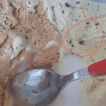 Carte d'Or Dondurma İçinden Yenmeyecek Şey Çıktı