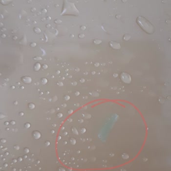 Carte d'Or Dondurma İçinden Yenmeyecek Şey Çıktı