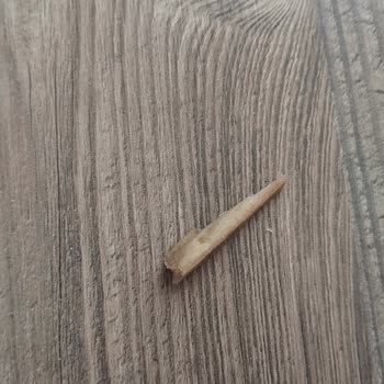 Nimet Gıda Nimet Dondurulmuş Patates Paketinden Tahta Parçası Çıktı