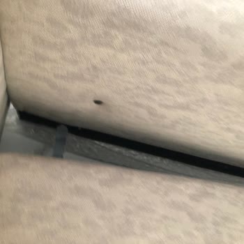 Alfemo Ürün Gecikmesi Sebebiyle Gelen Koltuğun Kötülüğü