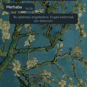 WhatsApp İşletme Hesaplarının Numarama İzinsiz Erişimi