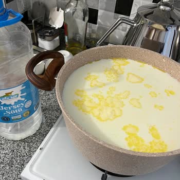 Ala Süt Sütünün İçinden Yağ Parçaları Çıktı