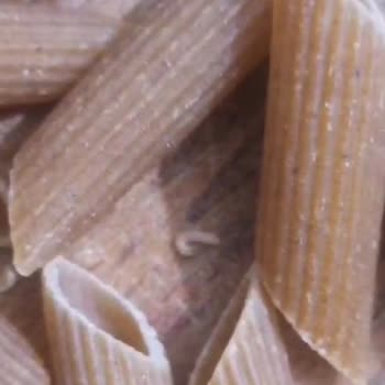 Nuh'un Ankara Makarnası Makarnada Kurt Çıktı