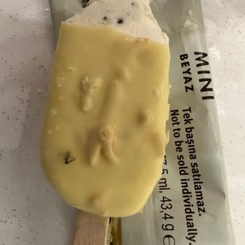 Magnum Dondurmanın İçinde Sinek Çıktı