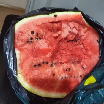 Migros Sanal Market Kusurlu Ürün Para İadesi Gerçekleştirmedi!