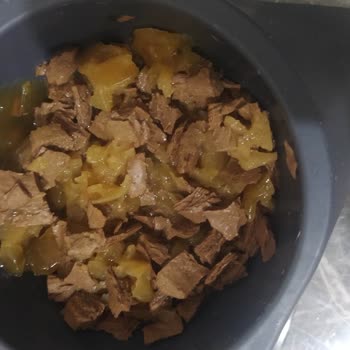 Whiskas Yaş Kedi Maması