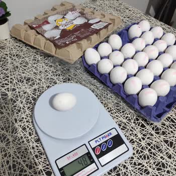 Anadolu Çiftliği Şok Yumurta Gramajları