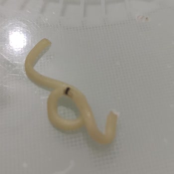 Oba Makarna Oba Mü Noodle