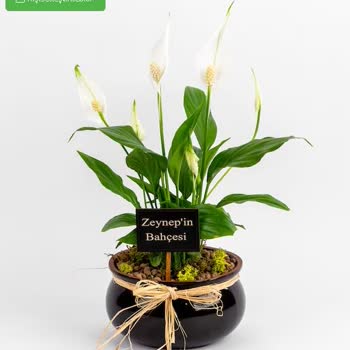 ÇiçekSepeti Çiçek Siparişiyle İlgili Sorun