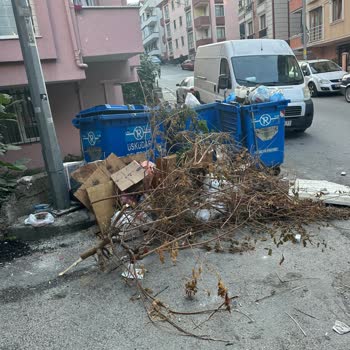 Üsküdar Belediyesi Çöpler Yüzünden Çevre Ve Sağlık Tehdidi