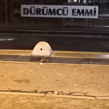 Dürümcü Emmi Pis, Kirli Bir Yerdir