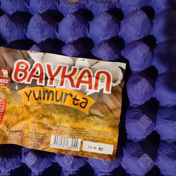 Baykan Yumurta Large Olana Small Koyulması ve Böcek