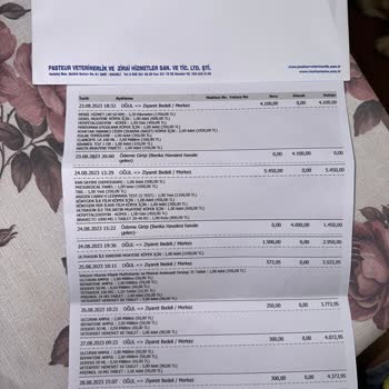 Pasteur Veteriner Nasıl Hizmet Alınmaz Pasteur Kocaeli