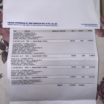 Pasteur Veteriner Nasıl Hizmet Alınmaz Pasteur Kocaeli