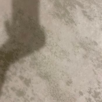 Paktem Halı Ve Koltuk Yıkama (İstanbul) Halımı Yaktılar Ve İlgisizler