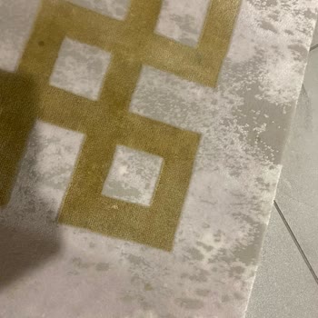 Paktem Halı Ve Koltuk Yıkama (İstanbul) Halımı Yaktılar Ve İlgisizler