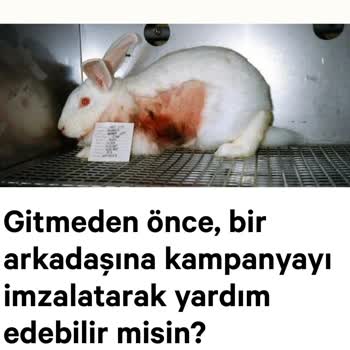 Osmaneli Belediyesi Bilecik Osmaneli Belediyesinin Hayvan Deneyi Merkezi Açması