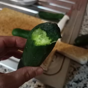 Bir Haftalık Beko Buzdolabı