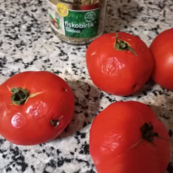 Bir Haftalık Beko Buzdolabı