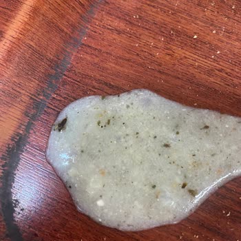 Vatan Dinlenme Tesisleri Çorbada Böcek Çıktı