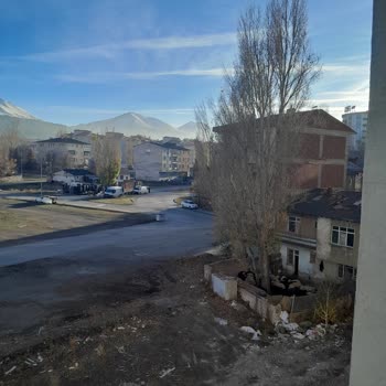 Çevre, Şehircilik Ve İklim Değişikliği Bakanlığı Şehir İçinde Küçükbaş Hayvan Beslemek