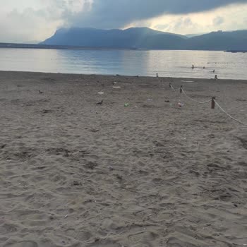 Amasra Belediyesi Amasra Bitmiş