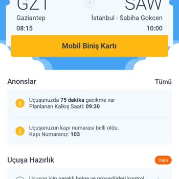 Pegasus Uçuş Gecikmesi Tebrikler Koy Otobüsü
