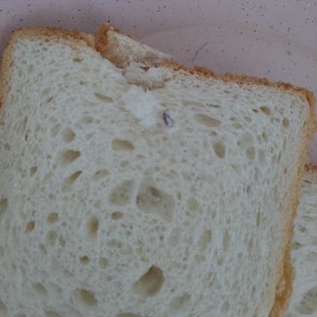 UNO Tost Ekmeği İle İlgili Şikayet