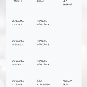 PTT Kargo Kargonun 10 Gün Geçmesine Rağmen Teslim Edilmemesi