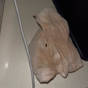 Swiss Inn Mersin Pis Kokuyor