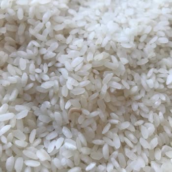 Duru Bulgur Pirinç Son Kullanma Tarihi Olmasına Rağmen Kurtlandı