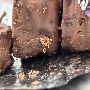 Ülker Halley Bisküvi Böceklenmiş