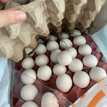 Migros Sanal Marketten Aldığım Ürünün Kırık Gelmesi