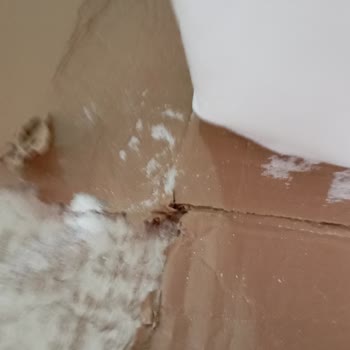 Epttavm OMO Toz Deterjan Yırtık Ve Patlamış Geldi