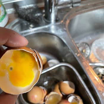 Migros Gürata Organik Yumurta Bozuk Çıktı