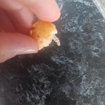 Erpiliç Nugget' Dan Kemik Çıktı.
