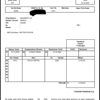 E-Devlet (Turkiye.gov.tr) Yurt Dışından Getirilen Telefon İçin Ödediğim Vergi Görünmüyor